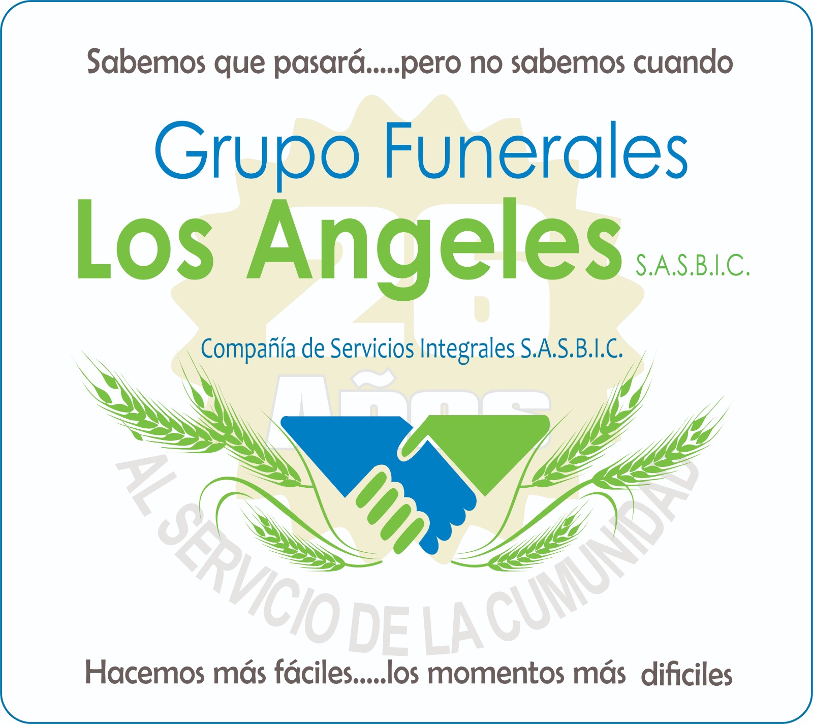 Actividades de la fundación